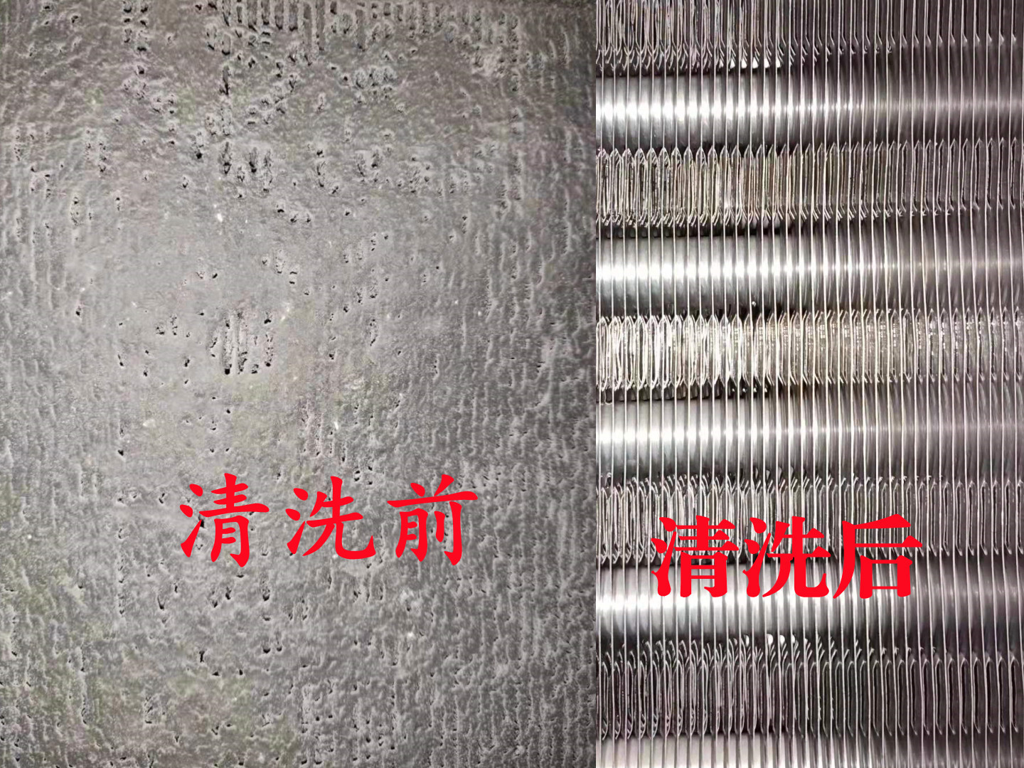 L(fng)C(j)P(pn)ϴ